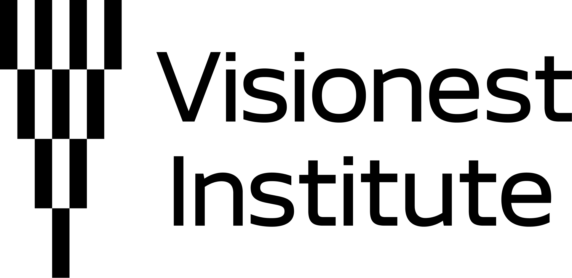 Visionest Institute