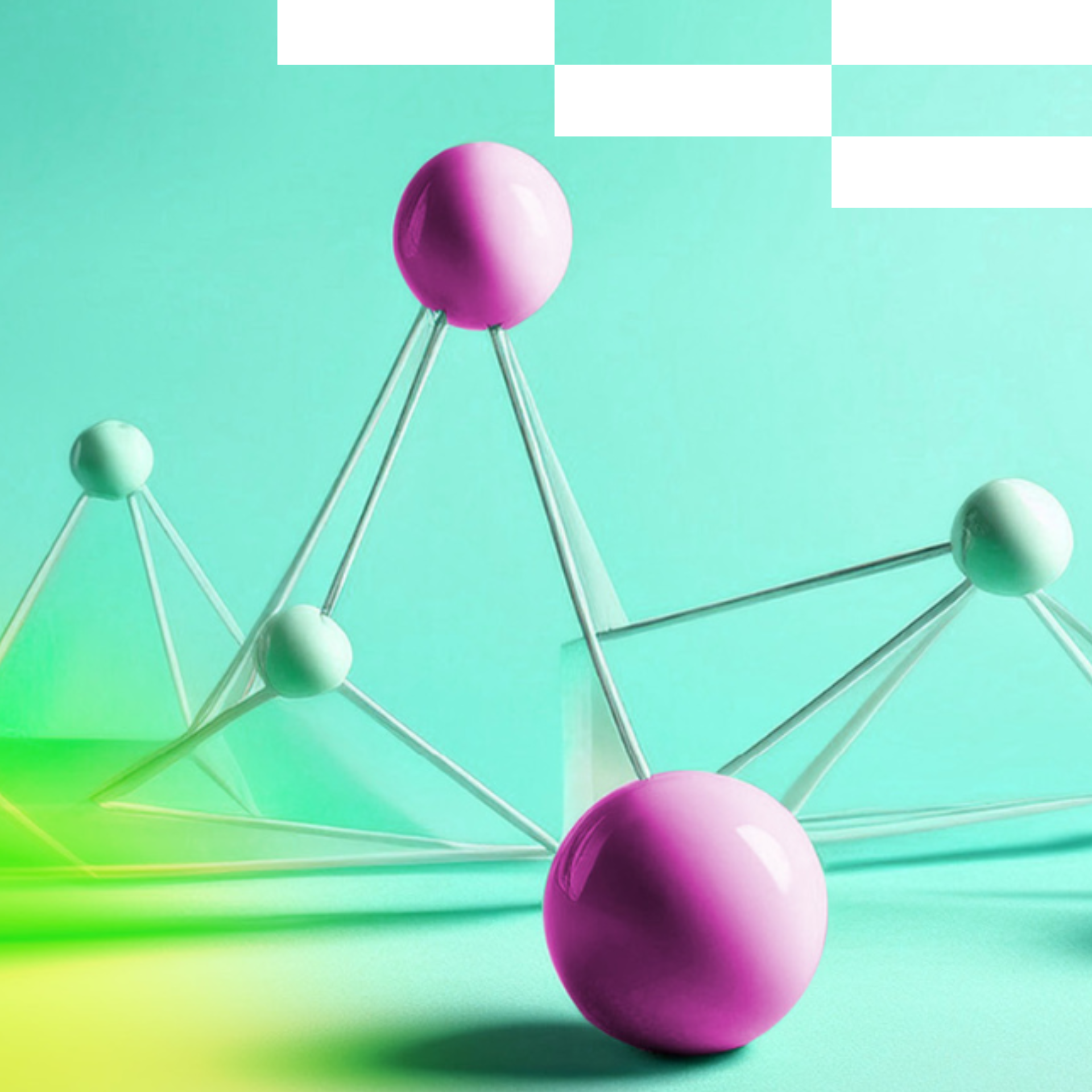 partnerid-pilt